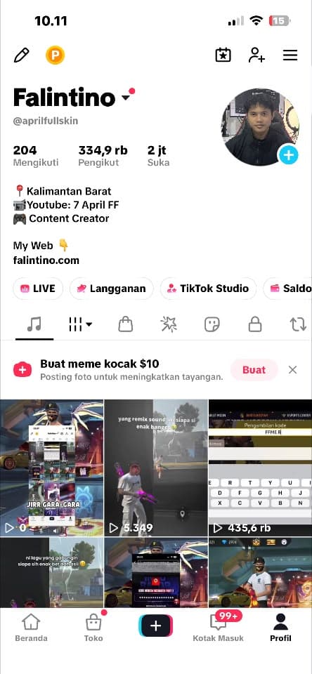 TikTok profile of Falintino